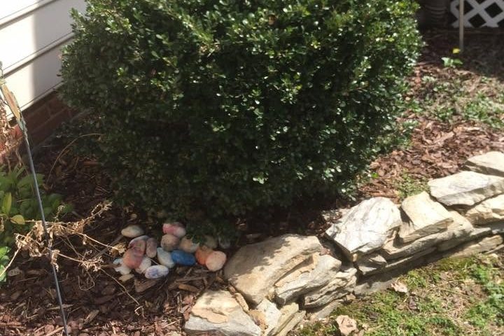 Trimmed boxwood-type shrub in a bed of shredded mulch bordered by flat gray fieldstone against beige siding
