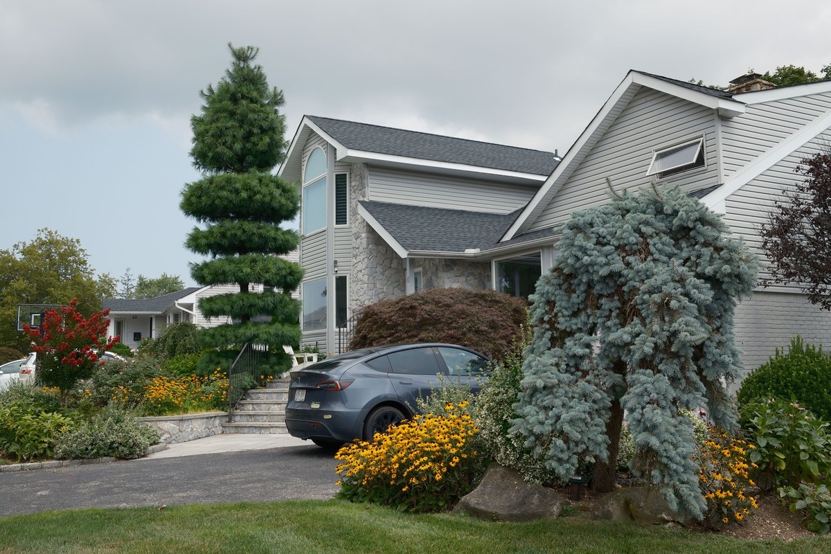 Gray house with a tiered pine, a weeping blue spruce, a red-leaf maple and yellow black-eyed Susans in landscaped beds