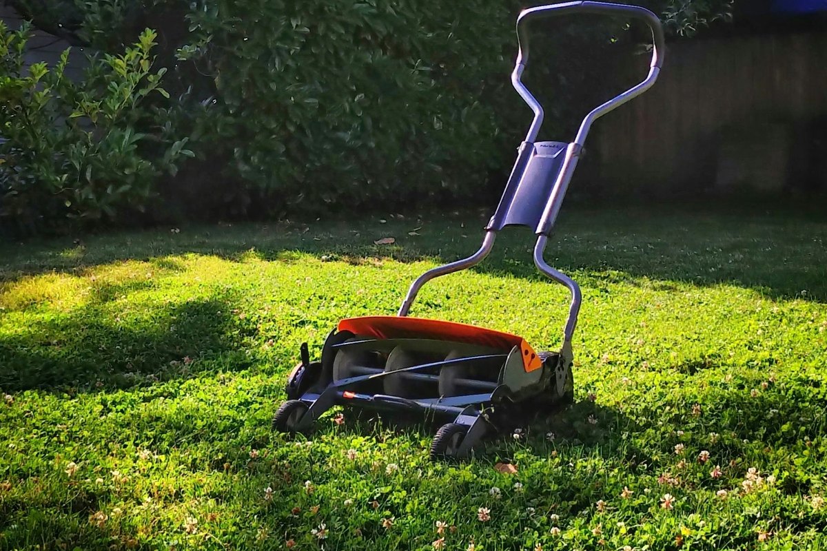 Hand-pushed reel mower with an orange hood standing on a sunlit green lawn in front of a tall green hedge