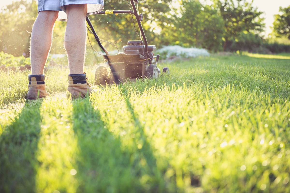 Person in work boots pushing a walk-behind mower across a green lawn in warm backlight with clippings in the air