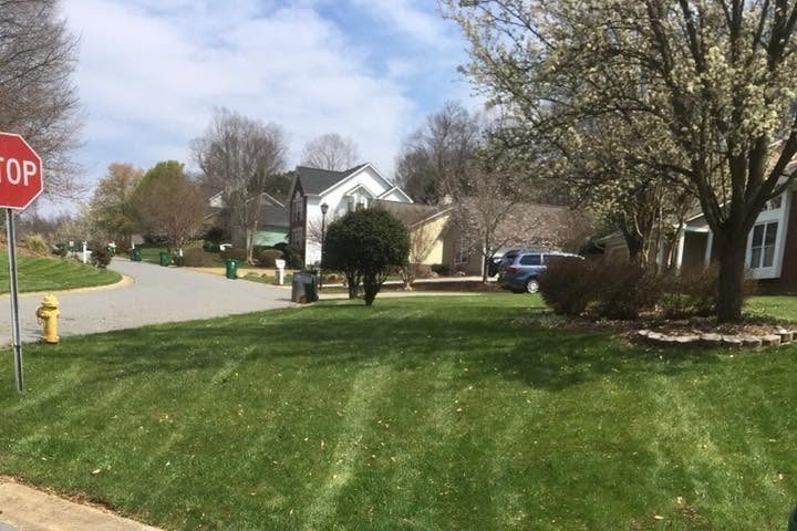Mowed lawn at a street corner with a flowering tree, a fire hydrant and a stop sign at the left