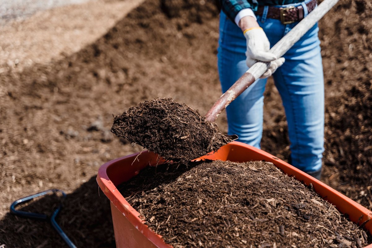 Gloved person shoveling dark shredded mulch into an orange wheelbarrow heaped with mulch